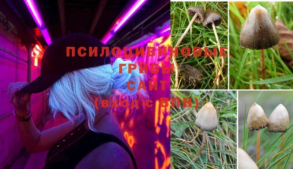 меф VHQ Горно-Алтайск