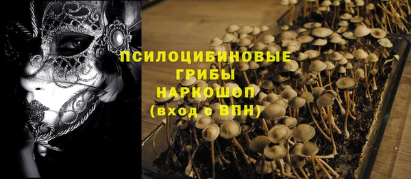 каннабис Гусев
