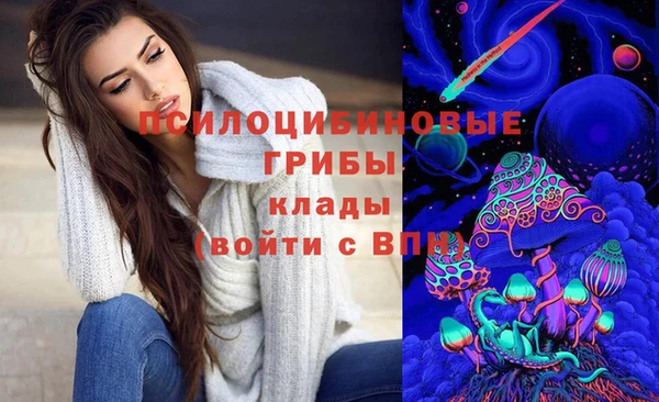 мяу мяу мука Гусь-Хрустальный